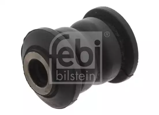 Salincak Burcu | 33694 FEBI