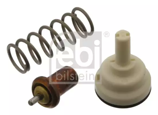 Termostat | 36533 FEBI