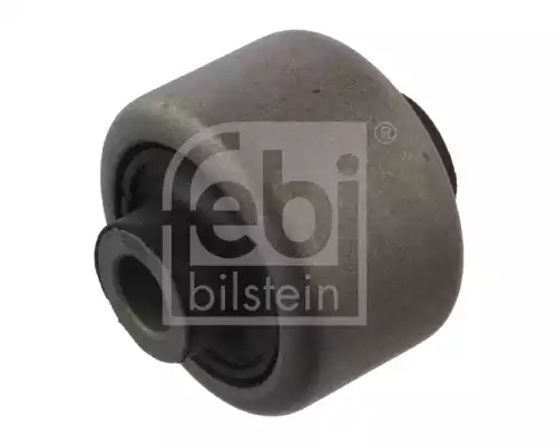 Salincak Burcu | 36962 FEBI