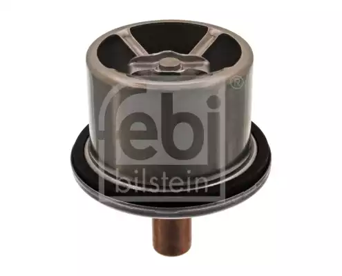 Termostat | 39858 FEBI