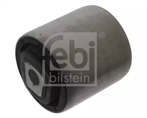 Salincak Burcu | 40391 FEBI