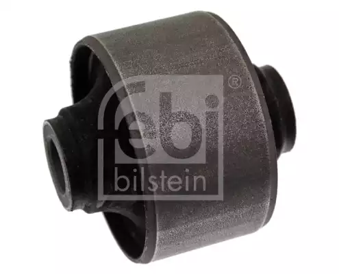 Salincak Burcu | 41393 FEBI