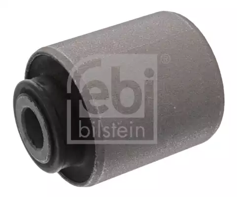 Salincak Burcu | 41548 FEBI