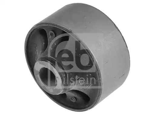 Salincak Burcu | 41581 FEBI
