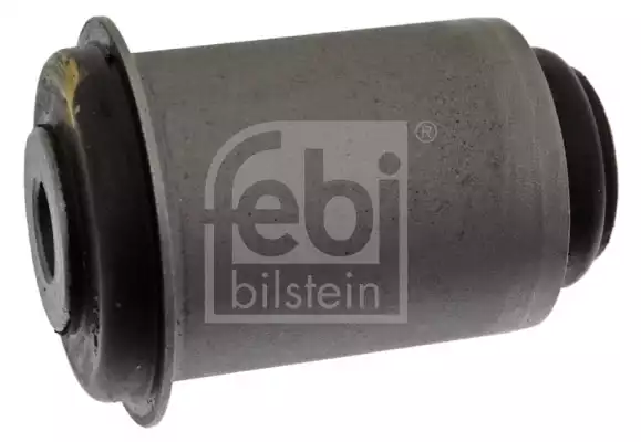 Salincak Burcu | 41599 FEBI