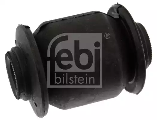 Salincak Burcu | 42247 FEBI