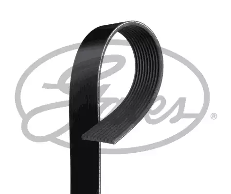 Kanallı V Kayısı | 10PK2253 GATES