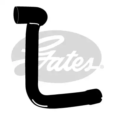 Radyatör Hortumu | 3964 GATES