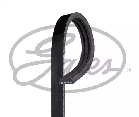 Kanallı V Kayışı Renault 19 I 88-92 , 19 II 92,98 | 3PK775 GATES