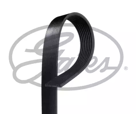Kanallı V Kayısı | 8PK1295XS GATES