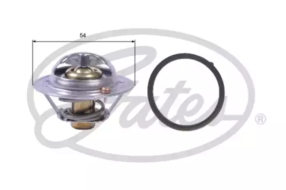 Termostat | TH41782G1 GATES