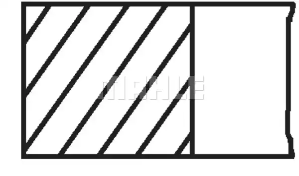 02825N0 Segman | MAHLE