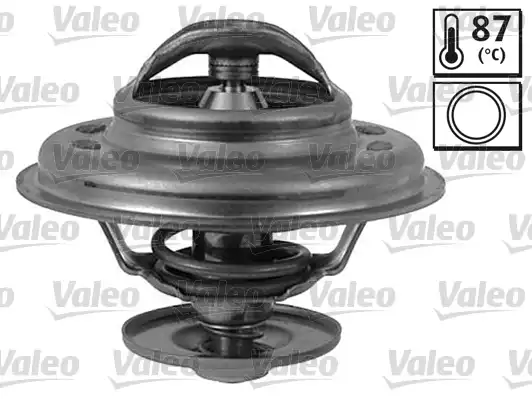 Termostat Audi | 820063 VALEO